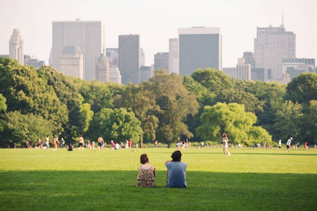 picnic in New York City